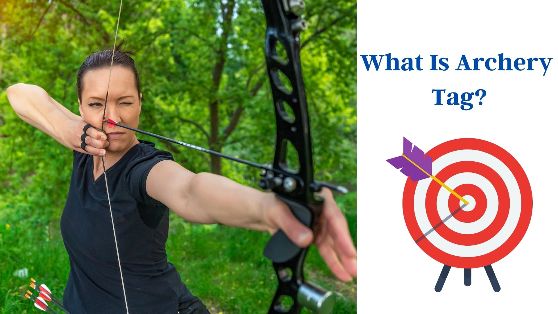 What Is Archery Hunting Hive